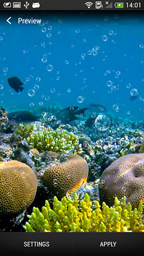 Android Hintergrundbilder Korallenriff kostenlos auf den Desktop herunterladen. 