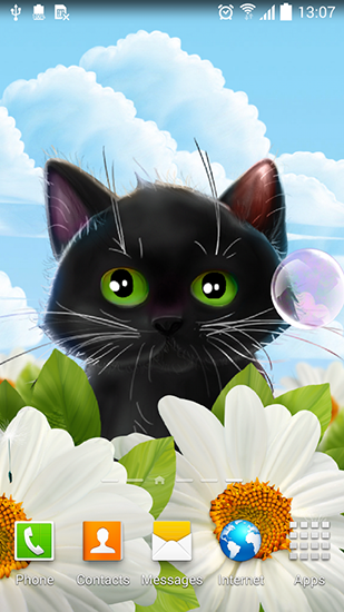 Android Hintergrundbilder Sußes Kätzchen kostenlos auf den Desktop herunterladen. 