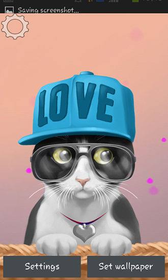 Android Hintergrundbilder Niedliche Katze kostenlos auf den Desktop herunterladen. 