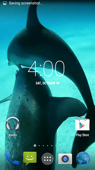 Android Hintergrundbilder Delphine HD kostenlos auf den Desktop herunterladen. 
