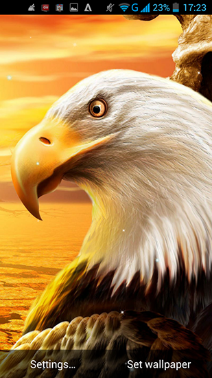 Android Hintergrundbilder Adler kostenlos auf den Desktop herunterladen. 