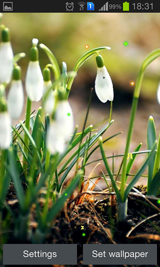 Android Hintergrundbilder Frühling: Natur kostenlos auf den Desktop herunterladen. 