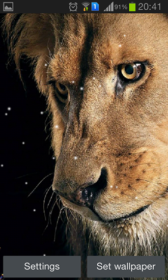 Android Hintergrundbilder Löwenaugen kostenlos auf den Desktop herunterladen. 