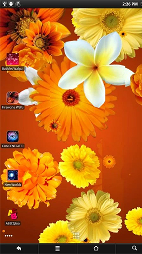 Bildschirm screenshot Blumen  für Handys und Tablets.