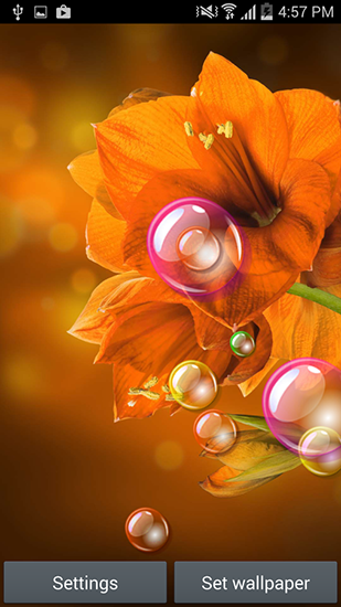 Android Hintergrundbilder Blumen 2015 kostenlos auf den Desktop herunterladen. 