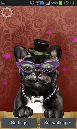 Android Hintergrundbilder Französischer Bulldog kostenlos auf den Desktop herunterladen. 
