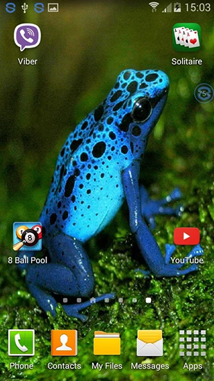 Android Hintergrundbilder Frösche: Schüttel und veränder kostenlos auf den Desktop herunterladen. 