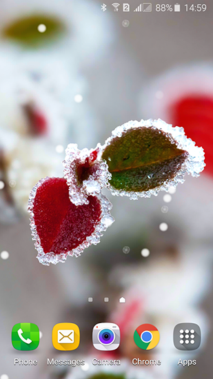 Android Hintergrundbilder Gefrorene Schönheit: Wintermärchen kostenlos auf den Desktop herunterladen. 