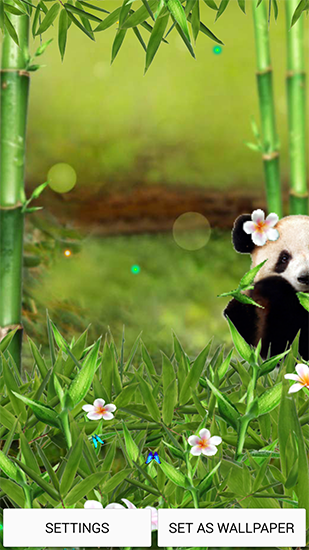 Android Hintergrundbilder Lustiger Panda kostenlos auf den Desktop herunterladen. 