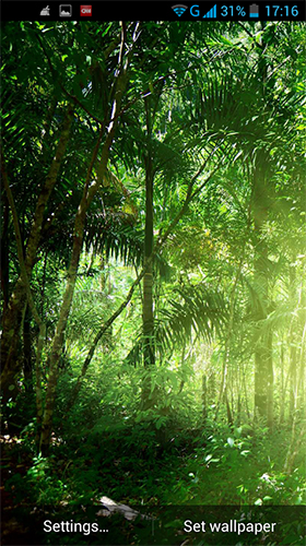 Bildschirm screenshot Dschungel  für Handys und Tablets.