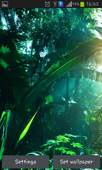 Android Hintergrundbilder Dschungel kostenlos auf den Desktop herunterladen. 