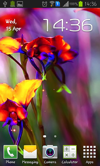 Android Hintergrundbilder Kleine Sommerblumen kostenlos auf den Desktop herunterladen. 
