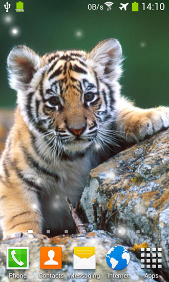 Android Hintergrundbilder Kleiner Tiger kostenlos auf den Desktop herunterladen. 