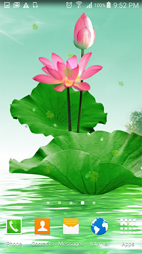 Bildschirm screenshot Lotus  für Handys und Tablets.