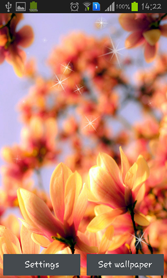 Android Hintergrundbilder Magnolia kostenlos auf den Desktop herunterladen. 
