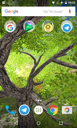 Bildschirm screenshot Naturbaum  für Handys und Tablets.
