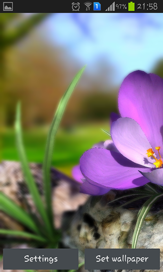 Android Hintergrundbilder Lebende Natur: Frühlingsblumen 3D kostenlos auf den Desktop herunterladen. 