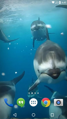 Bildschirm screenshot Ozean 3D: Delphin  für Handys und Tablets.