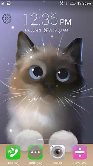 Android Hintergrundbilder Peper die Katze kostenlos auf den Desktop herunterladen. 