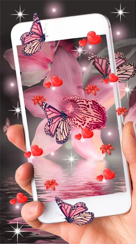 Bildschirm screenshot Pinker Schmetterling  für Handys und Tablets.