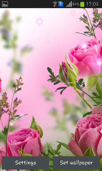 Android Hintergrundbilder Pinke Blumen kostenlos auf den Desktop herunterladen. 