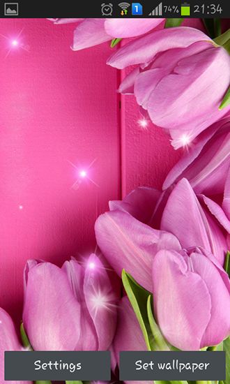 Android Hintergrundbilder Pinke Tulpen kostenlos auf den Desktop herunterladen. 