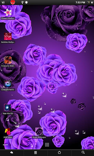 Android Hintergrundbilder Rosen 2 kostenlos auf den Desktop herunterladen. 