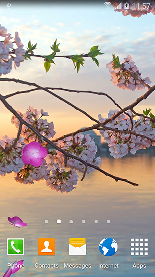Android Hintergrundbilder Sakura Gärten kostenlos auf den Desktop herunterladen. 