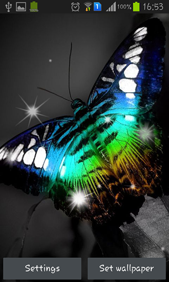 Android Hintergrundbilder Scheinender Schmetterling kostenlos auf den Desktop herunterladen. 