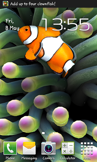Android Hintergrundbilder Sim Aquarium kostenlos auf den Desktop herunterladen. 