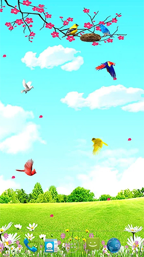 Bildschirm screenshot Vögel im Himmel  für Handys und Tablets.