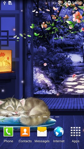 Android Hintergrundbilder Schlafendes Kätzchen kostenlos auf den Desktop herunterladen. 