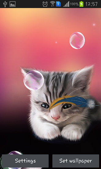 Android Hintergrundbilder Müdes Kätzchen kostenlos auf den Desktop herunterladen. 
