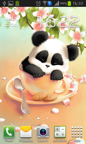 Android Hintergrundbilder Verschlafener Panda kostenlos auf den Desktop herunterladen. 