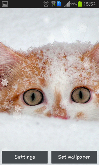 Android Hintergrundbilder Schneekatzen kostenlos auf den Desktop herunterladen. 