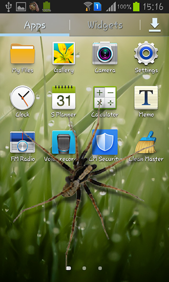Android Hintergrundbilder Spinne im Smartphone kostenlos auf den Desktop herunterladen. 