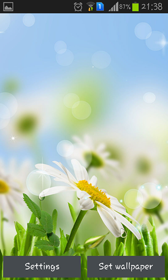 Android Hintergrundbilder Frühlingsblume kostenlos auf den Desktop herunterladen. 