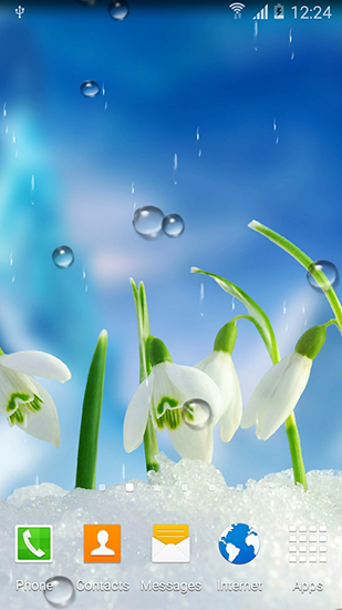 Android Hintergrundbilder Frühlingsblumen kostenlos auf den Desktop herunterladen. 