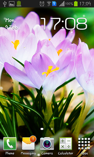 Android Hintergrundbilder Frühlingsblumen: Regen kostenlos auf den Desktop herunterladen. 