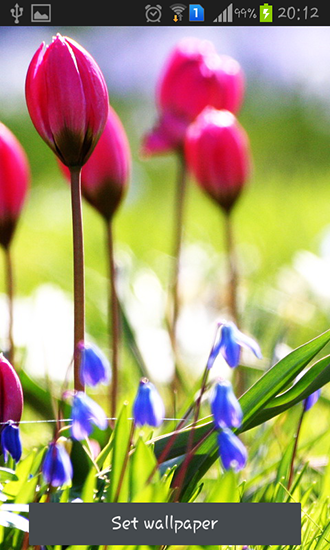 Android Hintergrundbilder Der Frühling kommt kostenlos auf den Desktop herunterladen. 