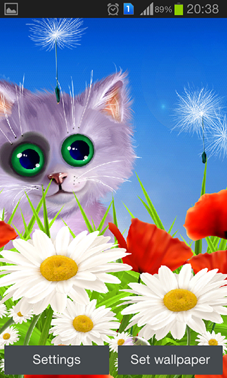 Android Hintergrundbilder Frühling: Kätzchen kostenlos auf den Desktop herunterladen. 