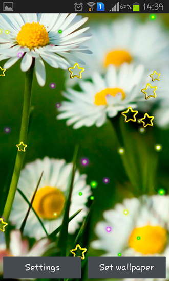 Android Hintergrundbilder Sommerliche Gänseblümchen kostenlos auf den Desktop herunterladen. 