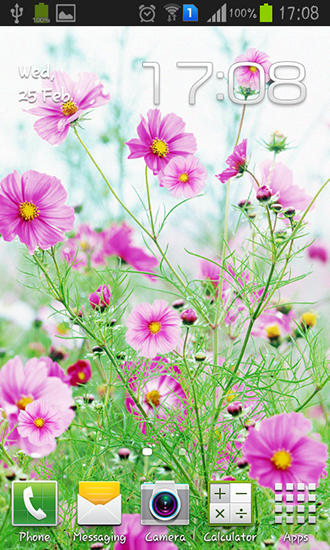 Android Hintergrundbilder Süße Blumen kostenlos auf den Desktop herunterladen. 