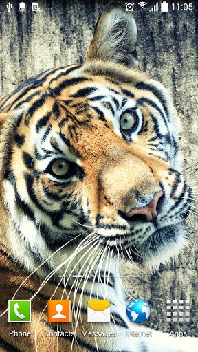 Android Hintergrundbilder Tiger kostenlos auf den Desktop herunterladen. 