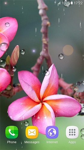 Bildschirm screenshot Tropische Blumen  für Handys und Tablets.