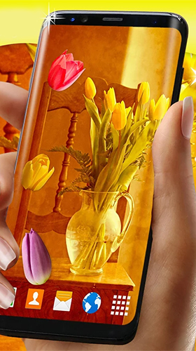 Bildschirm screenshot Tulpen  für Handys und Tablets.