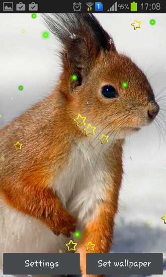 Android Hintergrundbilder Wintereichhörnchen kostenlos auf den Desktop herunterladen. 