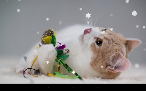 Android Hintergrundbilder Weihnachtskatze kostenlos auf den Desktop herunterladen. 
