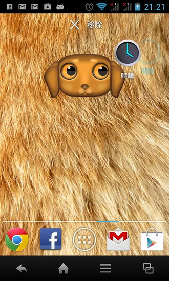 Android Hintergrundbilder Zoo: Hund kostenlos auf den Desktop herunterladen. 