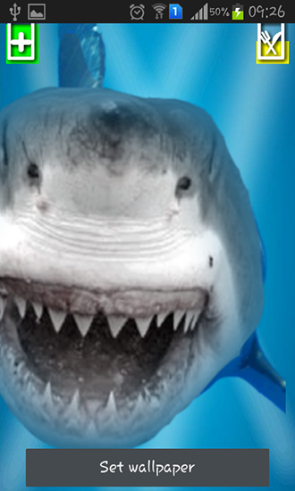 Bildschirm screenshot Wütender Hai: Zersprungenes Display für Handys und Tablets.
